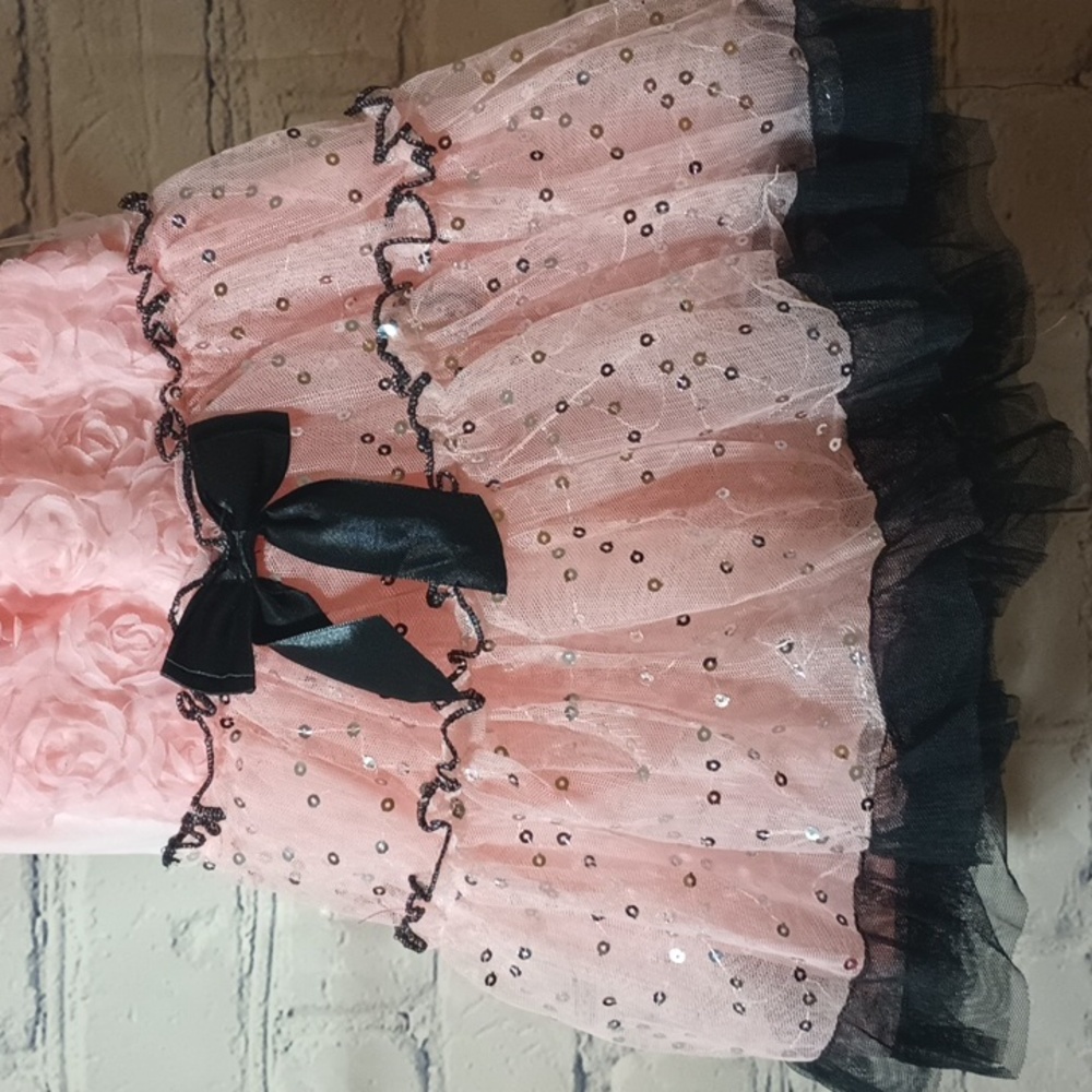 See updated listing Sequence Embellished Roses MeshTutu Dress RoseQuartz - Picture 3 of 9